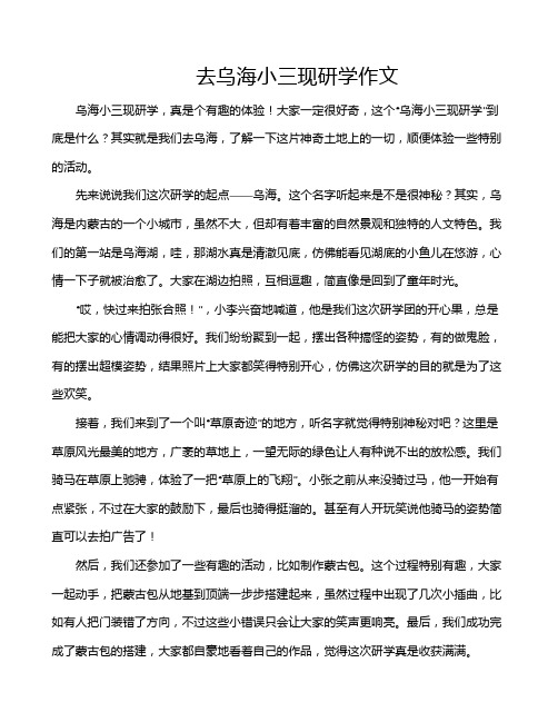 去乌海小三现研学作文