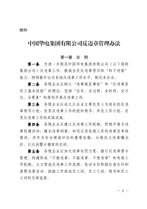 中国华电集团有限公司反违章管理办法