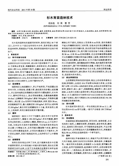 杉木育苗造林技术