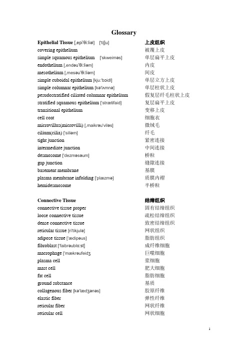 组织学与胚胎学_组培_英语词汇表_双语