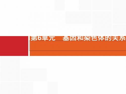 高三生物一轮复习第6单元：伴性遗传、人类遗传病教学课件 (人教课标版)