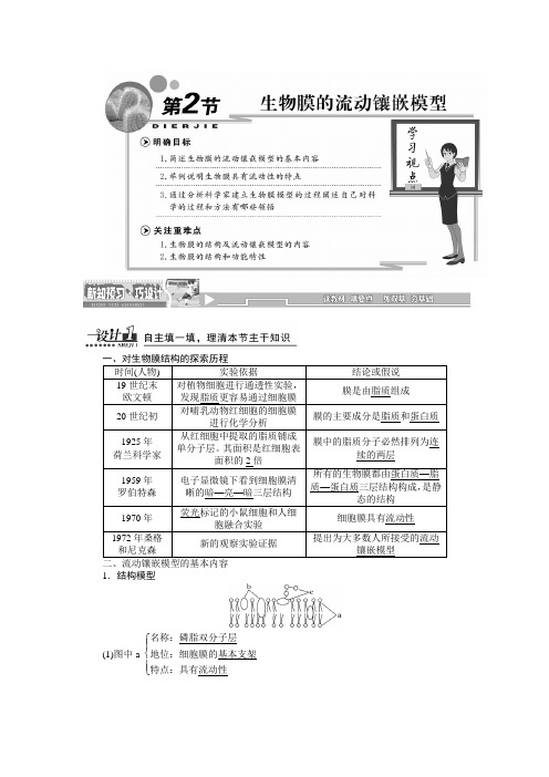 新人教生物必修1同步讲义： 生物膜的流动镶嵌模型