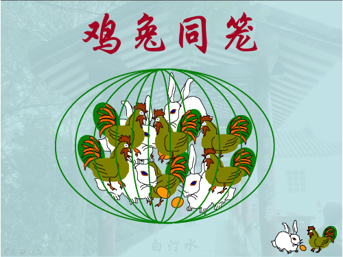 鸡兔同笼难题(新编)