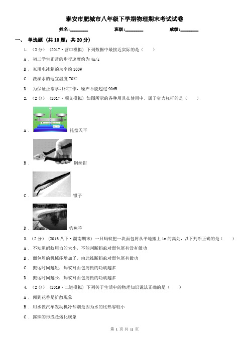 泰安市肥城市八年级下学期物理期末考试试卷