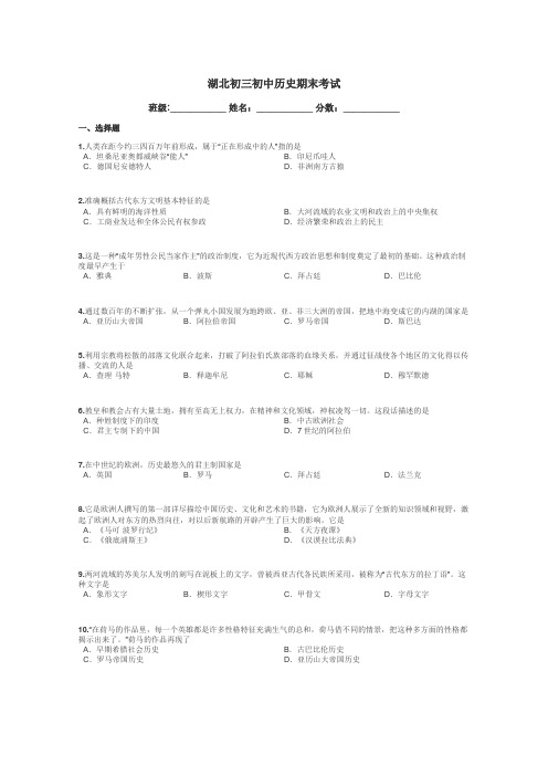 湖北初三初中历史期末考试带答案解析
