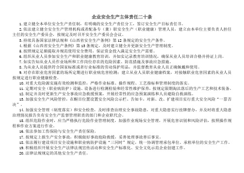 煤矿企业安全生产主体责任二十条