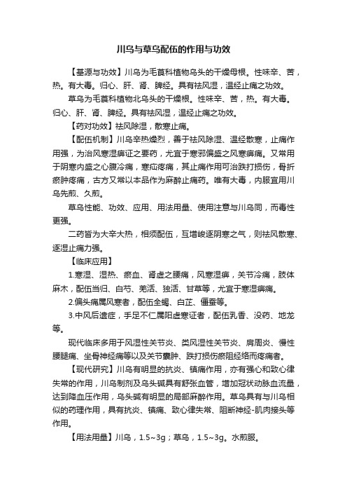 川乌与草乌配伍的作用与功效