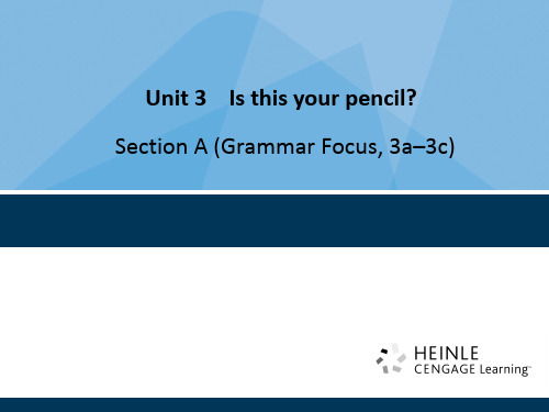 人教版(新目标)七年级上Unit3 Section A(Grammar Focus, 3a–3c)课
