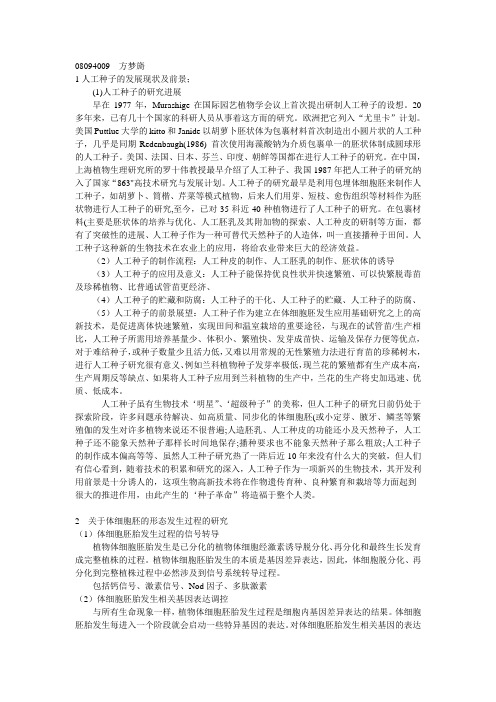作业
