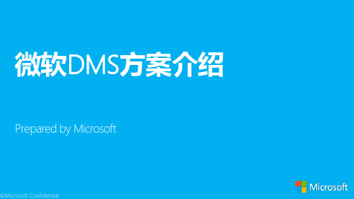 微软DMS