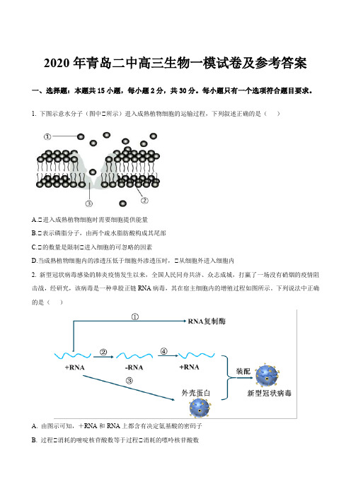 2020年青岛二中高三生物一模试卷及参考答案