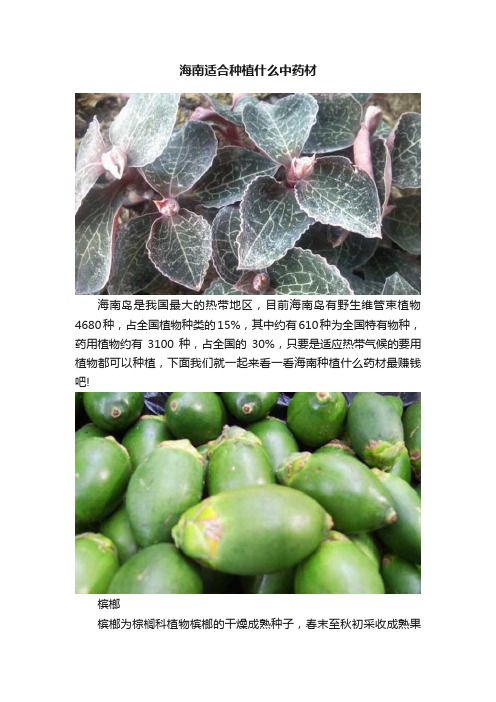 海南适合种植什么中药材