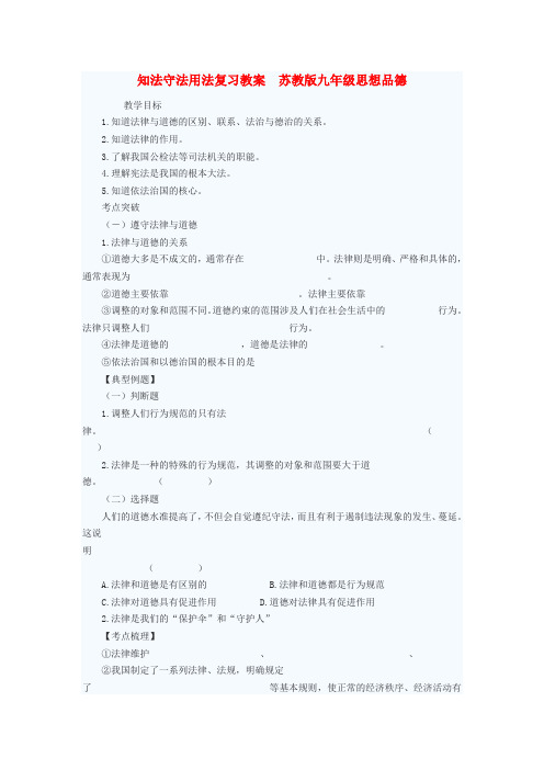 九年级政治 知法守法用法复习教案 苏教版