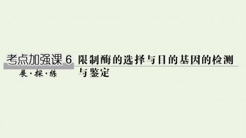 (鲁京津琼)2020版高考生物总复习考点加强课6课件