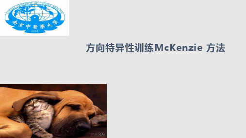 McKenzie麦肯基疗法PPT课件