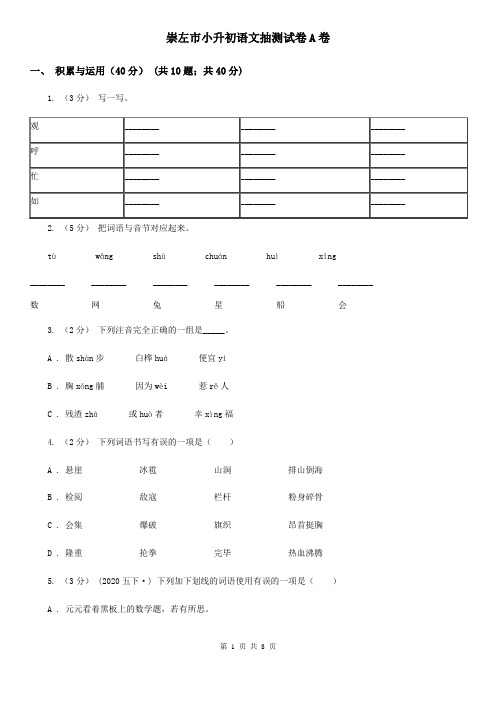 崇左市小升初语文抽测试卷A卷