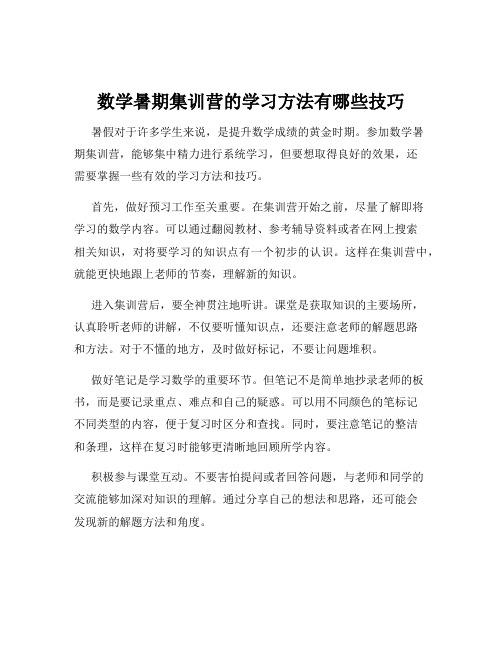 数学暑期集训营的学习方法有哪些技巧