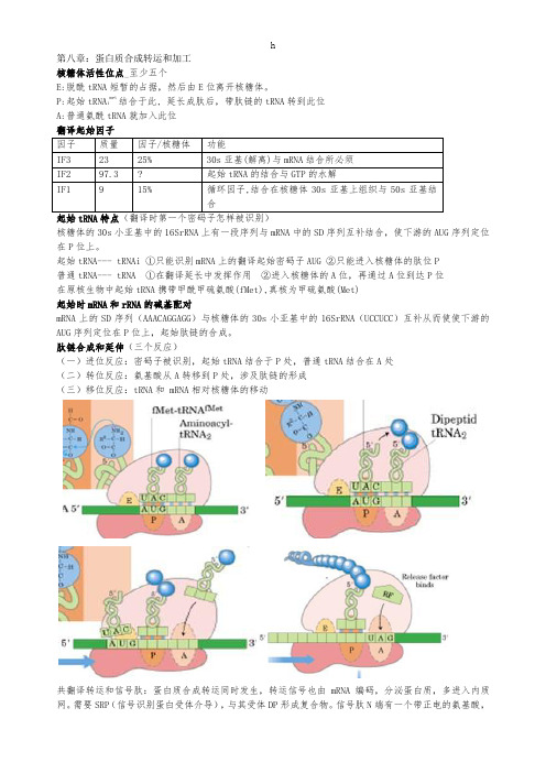 表达调控与蛋白质合成笔记