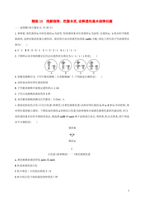 (北京专用)最新2019版高考生物一轮复习 精练10 理解规律、把握本质诠释遗传基本规律问题