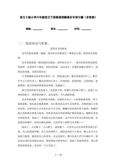 语文S版小学六年级语文下册阅读理解课后专项习题(含答案)