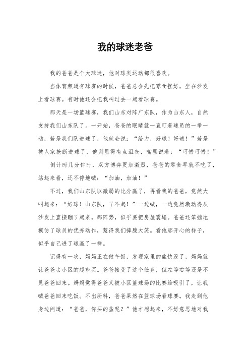 我的球迷老爸