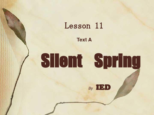 寂静的春天 silent spring