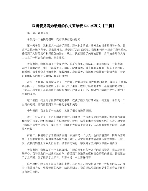 以暑假见闻为话题的作文五年级500字范文【三篇】