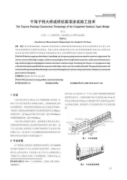 干海子特大桥成桥后面漆涂装施工技术