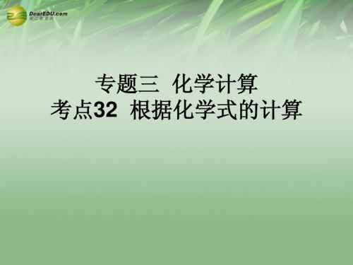 (高分突破 考前最后冲刺)2014届中考化学 考点32 根据化学式的计算课件(中考导航+命题趋势+重难点突破)