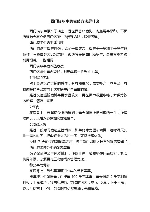 西门塔尔牛的养殖方法是什么