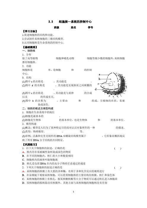 人教版高一生物必修1第三章第3节《细胞核—系统内的控制中心》学案含答案