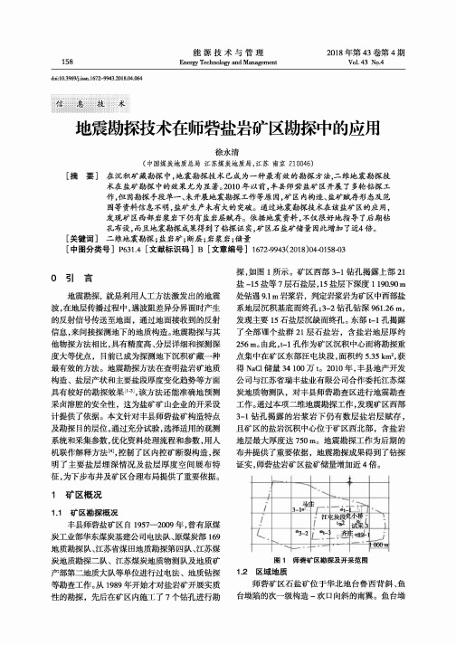 地震勘探技术在师砦盐岩矿区勘探中的应用