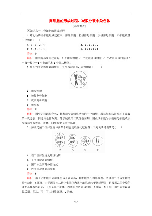 高中生物 第2章第1节 第2课时 卵细胞的形成过程、减数分裂中染色体课时精练(含解析)新人教版必修2