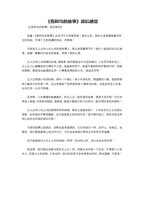 《我和鸟的故事》读后感受