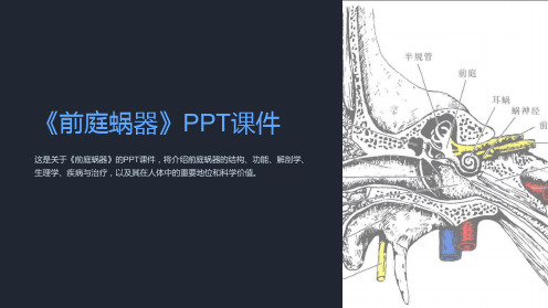 《前庭蜗器》课件