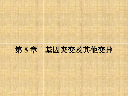 【南方新课堂 金牌学案】高中生物 5.1 基因突变和基因重组名师课件 新人教版必修2