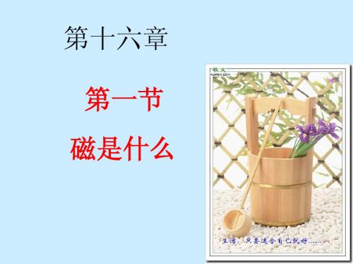 16.1 磁是什么?