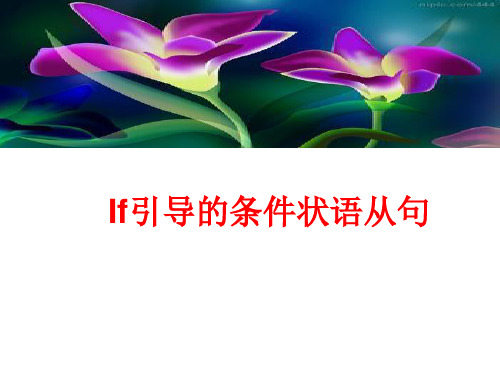 If引导的条件状语从句PPT课件