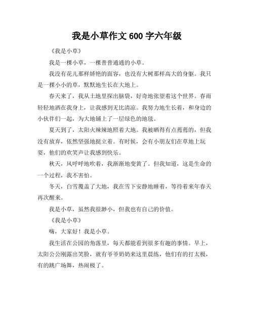 我是小草作文600字六年级