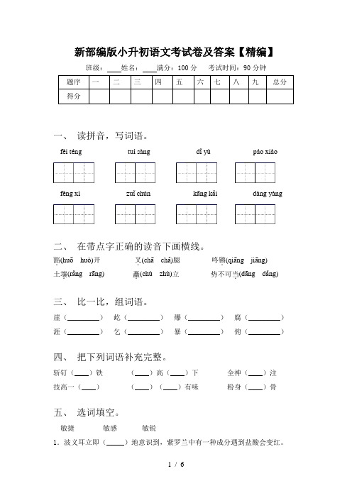 新部编版小升初语文考试卷及答案【精编】