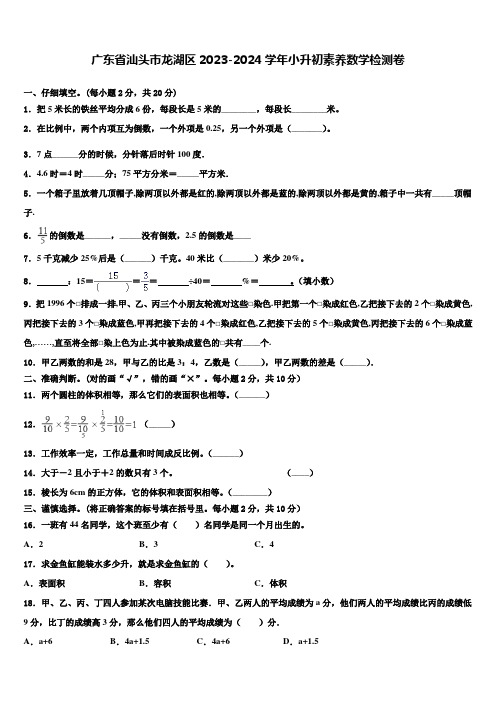 广东省汕头市龙湖区2023-2024学年小升初素养数学检测卷含解析