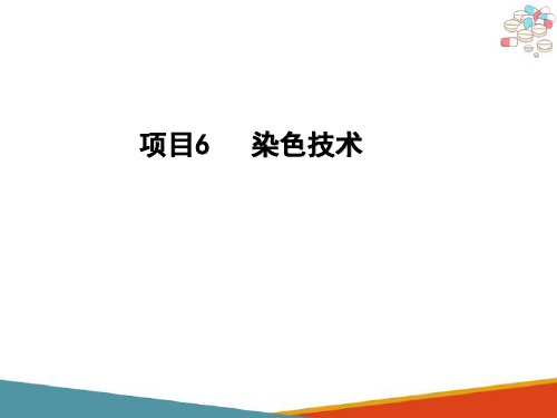 药品生物检定的基础知识 染色技术(药品生物检定技术课件)