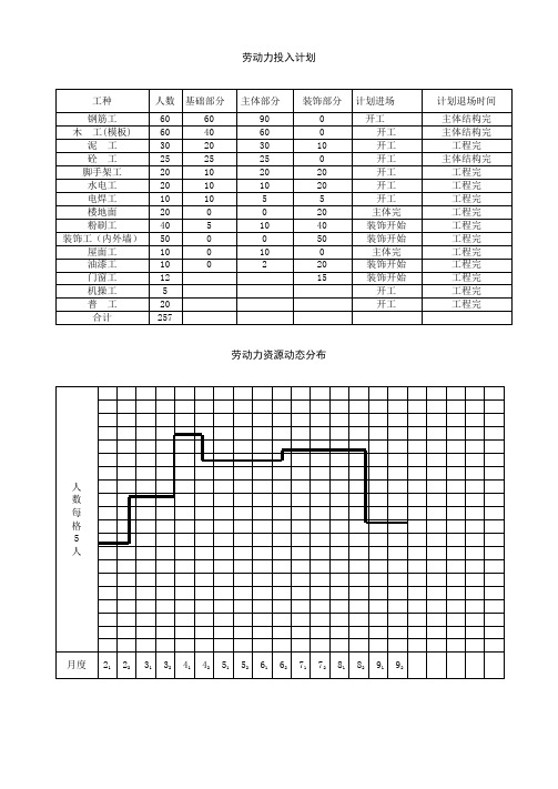 劳动力投入计划表