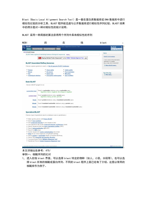 在线blast的用法总结