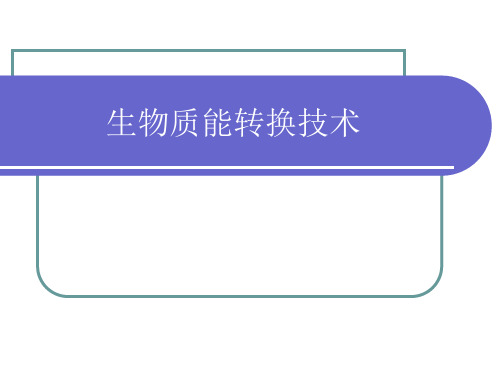 第六章 生物质能转换技术