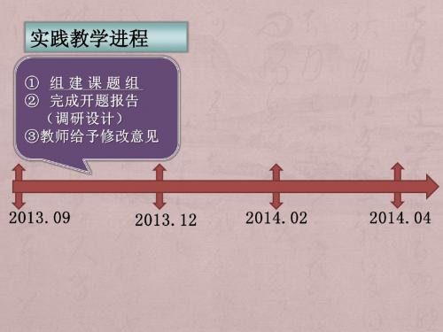 毛概实践报告指导PPT