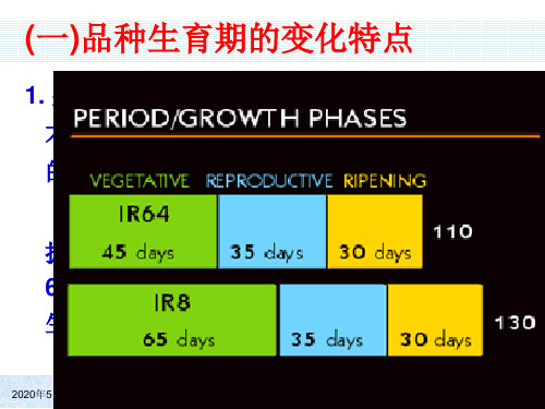 水稻栽培学PPT课件