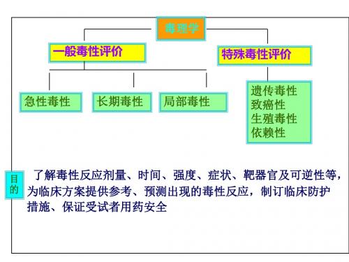 药物特殊毒性评价ppt课件