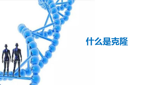 浙科版高中生物选修三第二章 第一节 什么是克隆(共21张PPT)