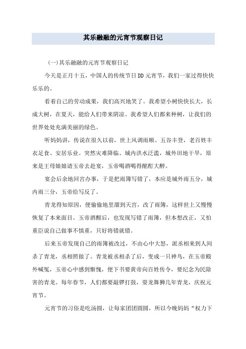 其乐融融的元宵节观察日记